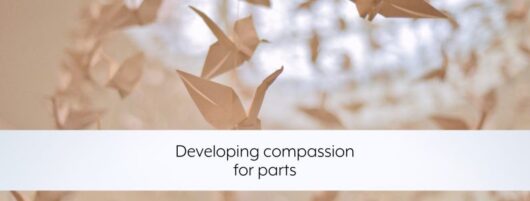 Developing compassion for parts