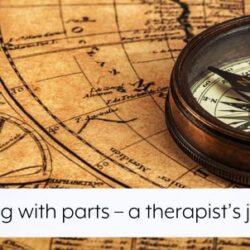 working-with-parts-a-therapists-journey