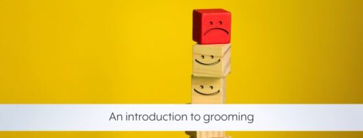 An introduction to grooming