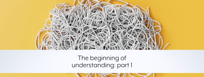 The beginning of understanding: part 1