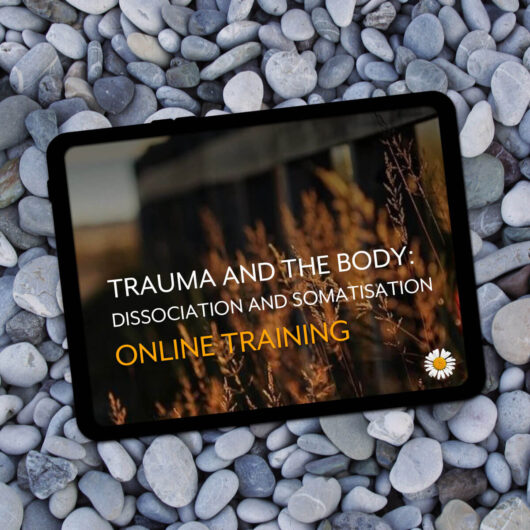 Trauma and the Body: Dissociation and Somatisation