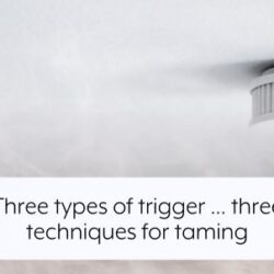 three-types-of-trigger-three-techniques-for-taming