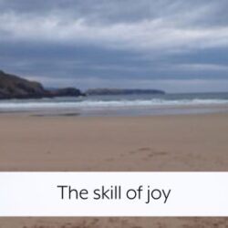 the-skill-of-joy