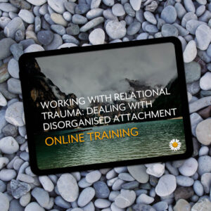 Working with Relational Trauma online training