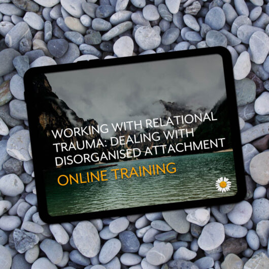 Working with Relational Trauma: Dealing with Disorganised Attachment Online Training
