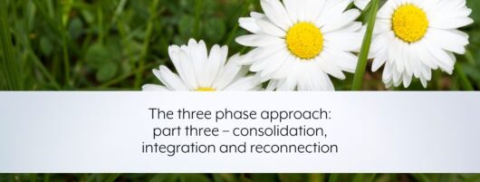 The three phase approach: part three – consolidation, integration and reconnection