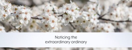 Noticing the extraordinary ordinary