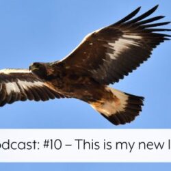 Podcast 10 - this is my new life