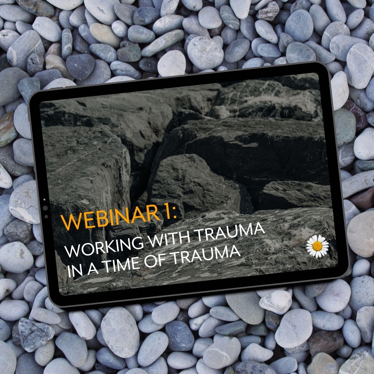 Webinar 1: Working with trauma in a time of trauma
