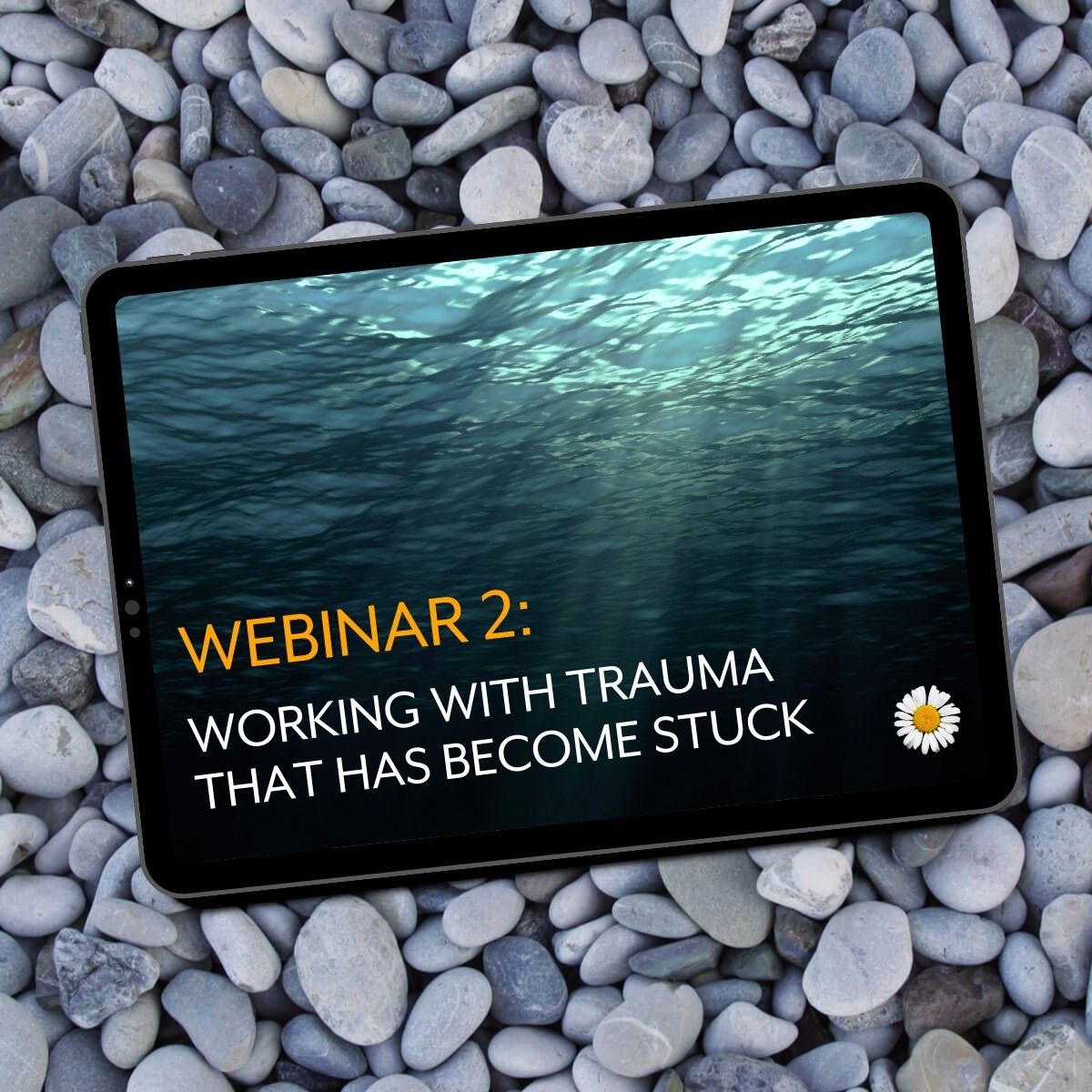 Webinar 2: Working with trauma that has become stuck