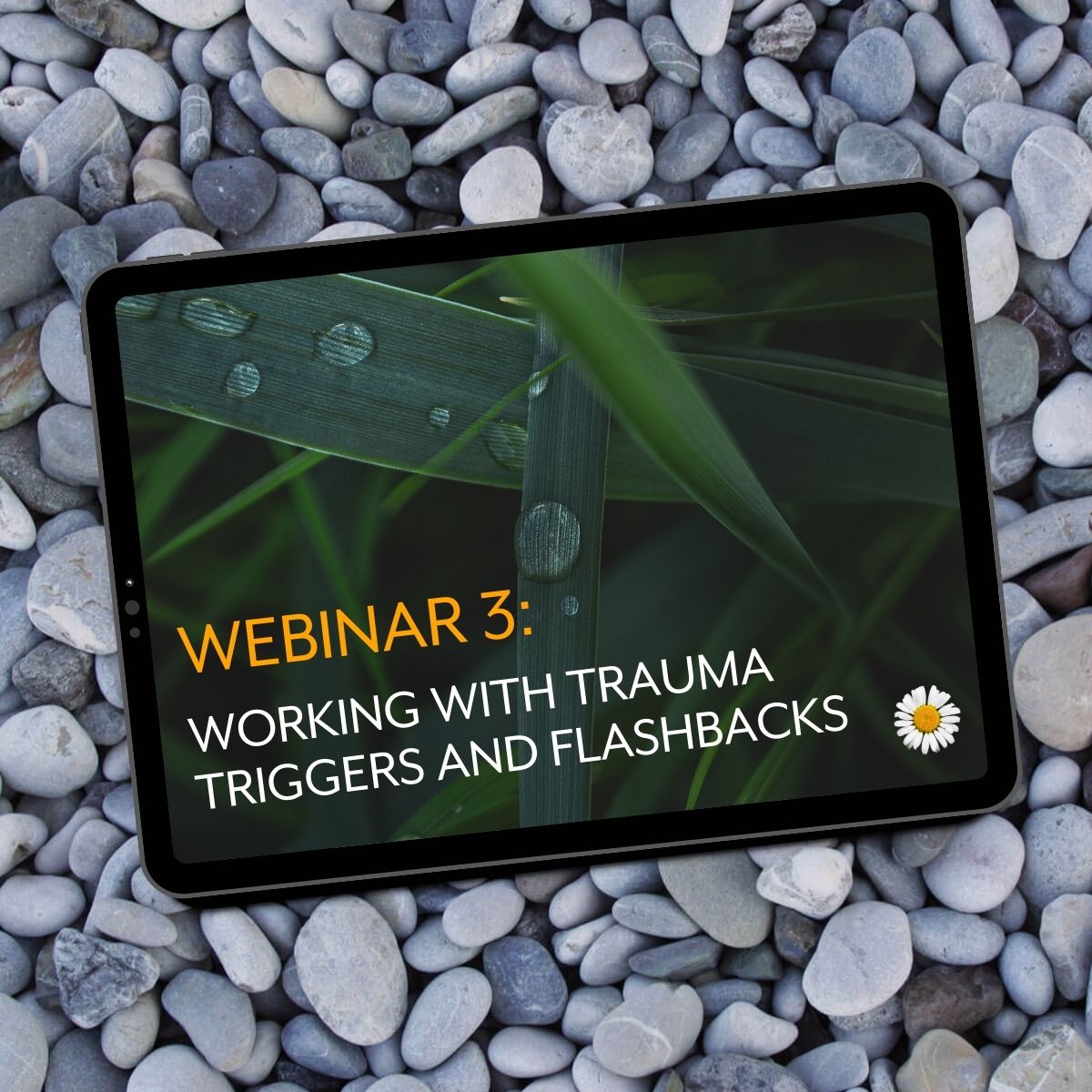 Webinar 3: Working with Trauma Triggers and Flashbacks
