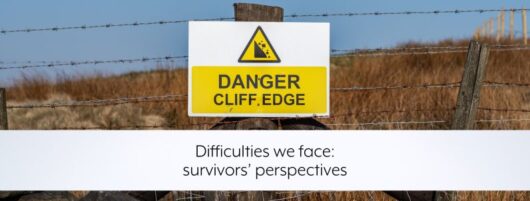 Difficulties we face: survivors’ perspectives