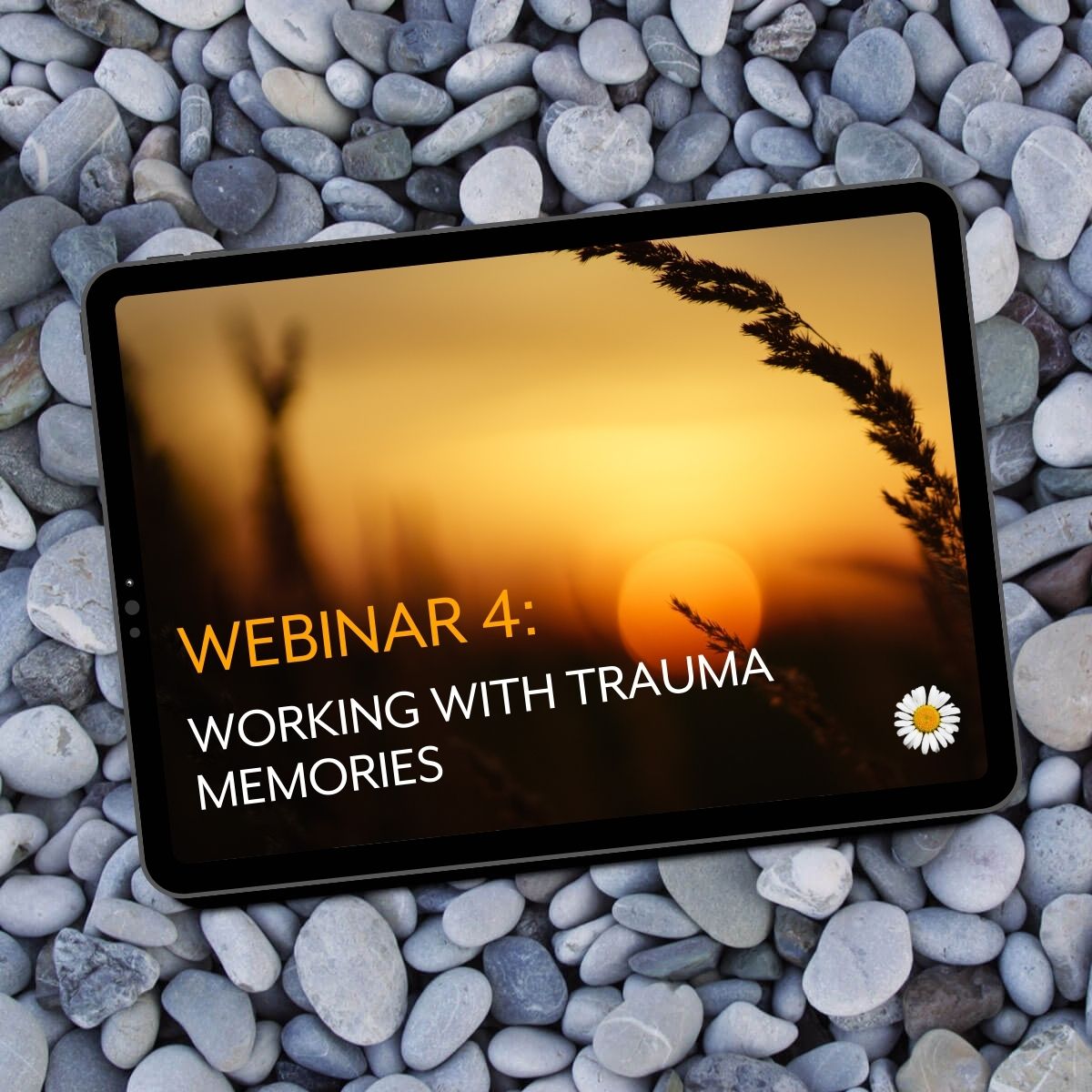 Webinar 4: Working with Trauma Memories