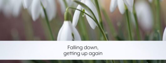 Falling down, getting back up again: my journey over the last year