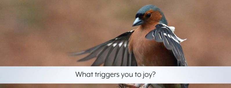 What triggers you to joy?