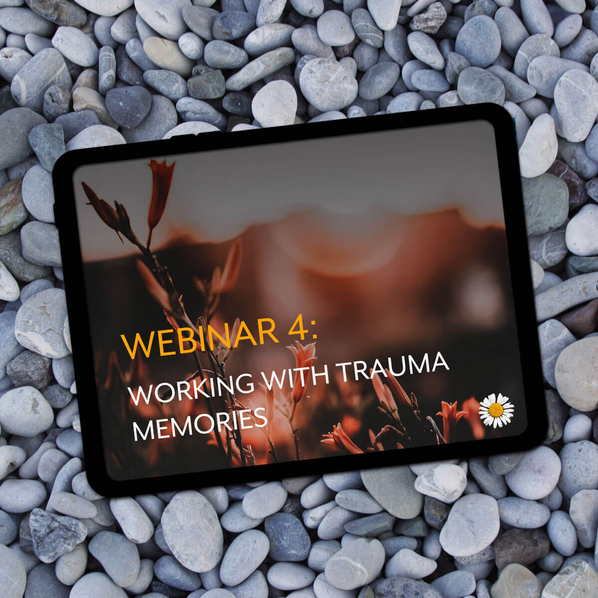 Webinar #4: Working with trauma memories - online trauma training by Carolyn Spring