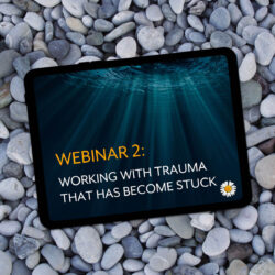 Webinar #2: Working with Trauma that has become stuck - online trauma training by Carolyn Spring