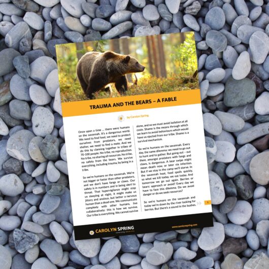 Trauma and the Bears (PDF)