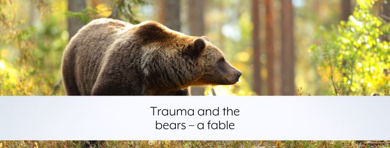 Trauma and the bears – a fable