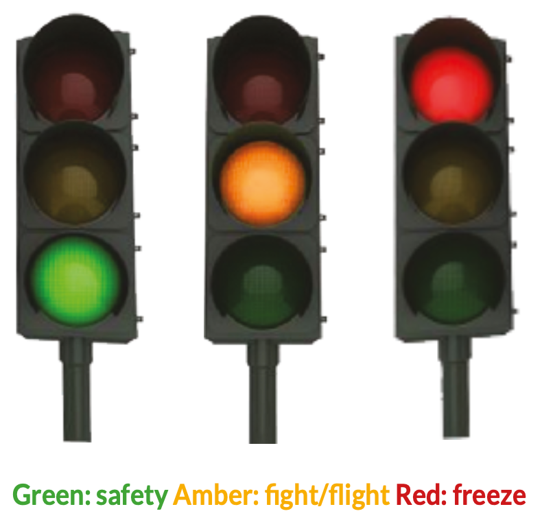 trauma traffic light image