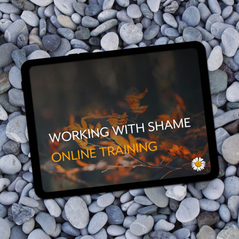 Working with Shame online training