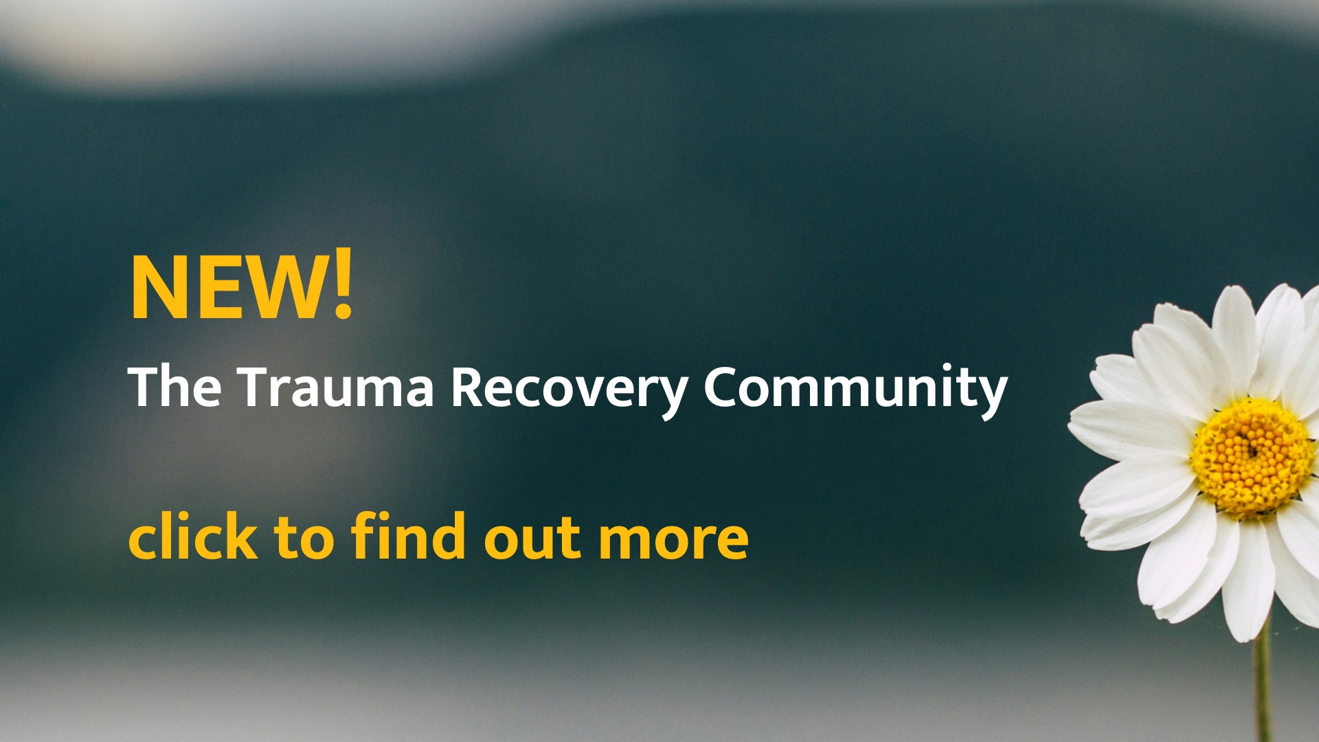 NEW! The Trauma Recovery Community. Click to find out more.